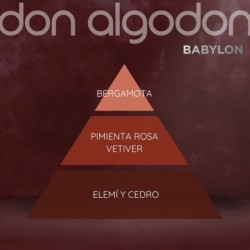 Set hombre babylon (colonia 30ml + shower gel + deo + tarjetero)-DA-25781230-Don Algodón