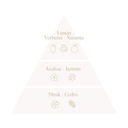 Set caricias don algodón baby perfume 100ml + colonia 100ml en caja regalo-ALM-25100984-Don Algodón