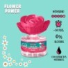 Flor difusora flower power sandía 50 ml-TFC-10320106-The Fruit Company