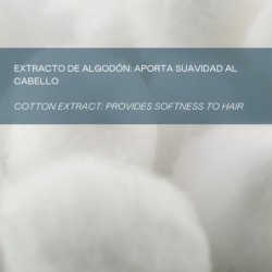 Acondicionador capilar efecto seda - 12x15 ml-VAL-38314-valquer