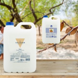 Champú almendras - 5000 ml-VAL-38279-valquer