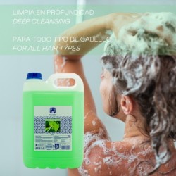 Champú clorofila - 5000 ml-VAL-38259-valquer