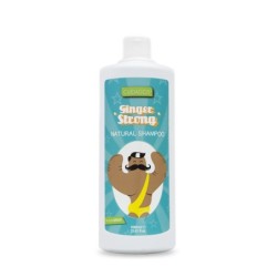 Champú jengibre ginger...