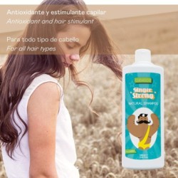 Champú jengibre ginger strong - 1000 ml-VAL-149-valquer