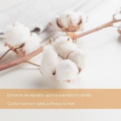 Champú para pelo liso - 0% sin sulfatos ni sal 400 ml-VAL-33566-valquer