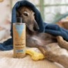 Champú premium hidratante para mascotas - 400 ml-VAL-12128-valquer