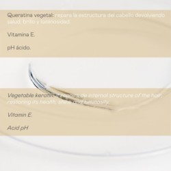 Champú prolongador tratamiento sbs divinity effect - 300 ml-VAL-31135-valquer