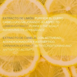 Champú sólido acid (extracto de limón y canela) - 50 g-VAL-33970-valquer