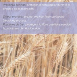 Decoblue polvos decolorantes - 500 g-VAL-38457-valquer