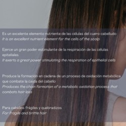 Pack 6 viales placenta 6x15 ml + champú placenta 200 ml-VAL-80936-valquer