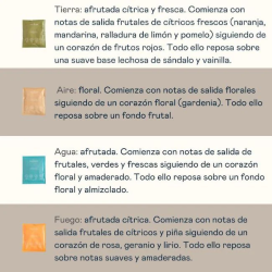 Expositor con 12 sobres surtidos de 25 gr valquer shake - pack geles de baño sostenibles-VAL-12126-valquer