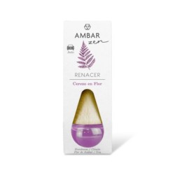 Coche cerezo en flor ambar zen nuevo-AMB-10700304-ambar