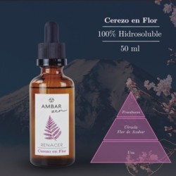 Esencia humidificador cerezo en flor 50ml ambar zen-AMB-10700404-ambar
