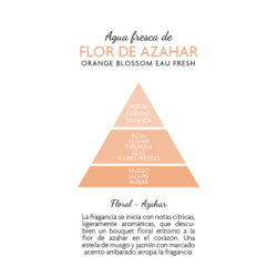 Mikado aguas frescas de flor de azahar  rosa c/ flores decorativas 75 ml-AMB-10550201-ambar