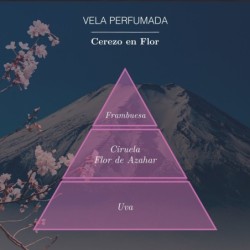 Vela cerezo en flor 125gr ambar zen-AMB-10700804-ambar