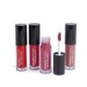 Set 4 labiales líquidos colorful en caja-MS-44254-Magic Studio