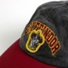 Gorra visera curva adulto harry potter gryffindor - CI-2200010497 - Cerdá - HARRY POTTER