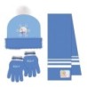 Conjunto 3 piezas gorro+braga+guantes  bufanda frozen - CI-2200010587 - Cerdá - FROZEN