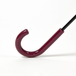 Paraguas manual poe adulto toy story lotso - CI-2400000814 - Cerdá - TOY STORY