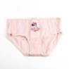 Pack 5 braguitas single jersey  minnie - CI-2900002516 - Cerdá - MINNIE