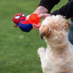 Juguete para perro pelota spiderman - CI-2800000707 - Cerdá - SPIDERMAN