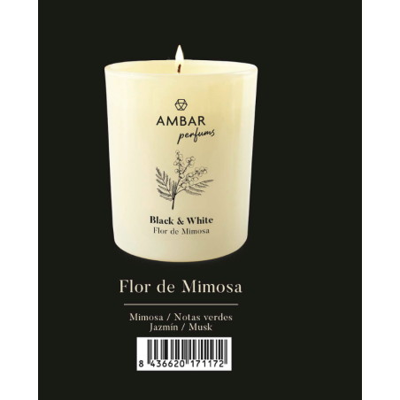 Vela perfumada flor de mimosa Ambar Black&White-AMB-10806233