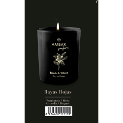 Vela perfumada Bayas rojas...