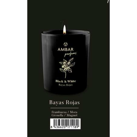 Vela perfumada Bayas rojas Ambar Black&White-AMB-10866234