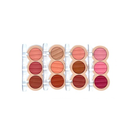 Bright blusher kit-DD-13319A-ddonna
