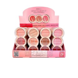 Bright blusher kit-DD-13319A-ddonna