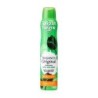 Deo spray tulipan negro original 200 ml-TN-31160204-tulipan negro