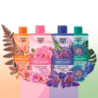 Mix champu micelar tulipan negro 400 ml-TN-902111-Mix-tulipan negro