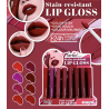 Brillo de Labios de Larga Duración y Alta Pigmentación TE-30003
